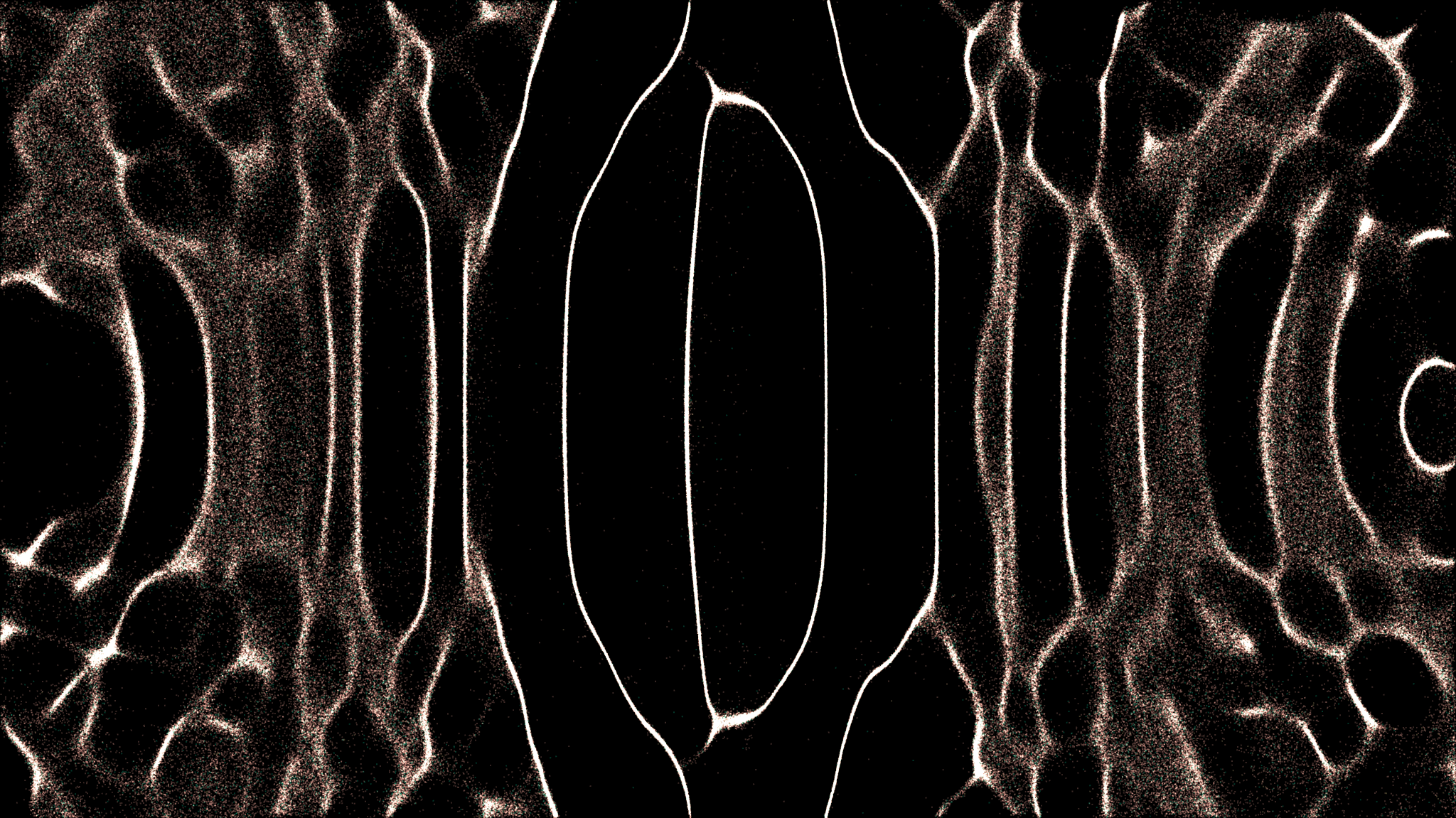 TheDAO Security Fund